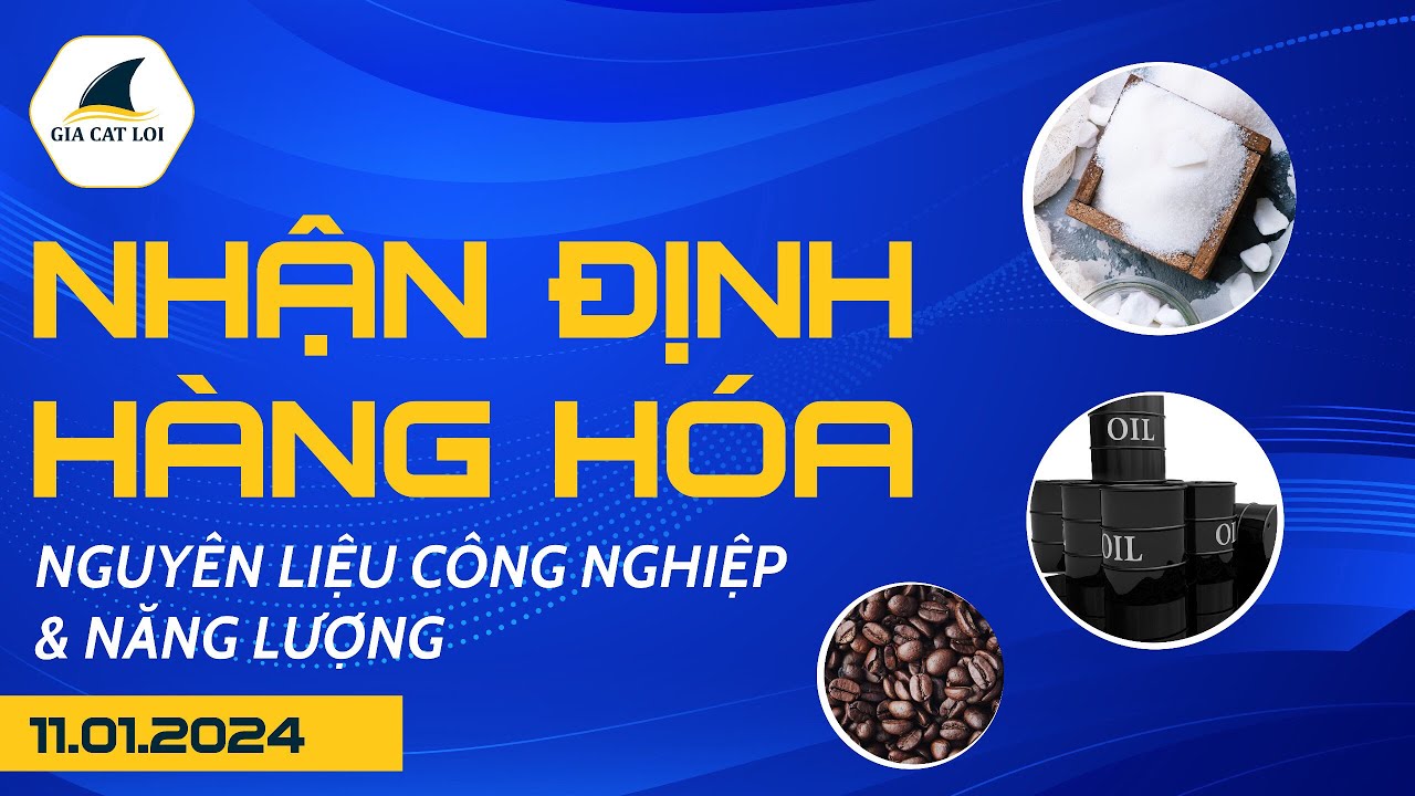 Nhận Định Hàng Hoá Năng Lượng & Nguyên Liệu Công Nghiệp 11/01/2024
