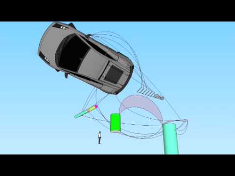 Matthias Mesteno - Wild Coyote