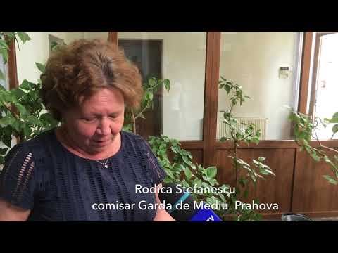 Pacureti, comuna fara contract de salubritate