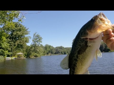 GoPro: Mandy Martin - Best Catch 7.15.15 - Fish