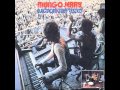 Mungo Jerry - Somebody Stole My Wife 