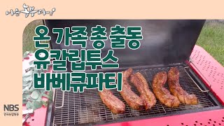 [나는농부다 250회] 온 가족 총 출동 유칼립투스 바베큐파티