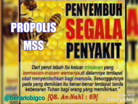 Obat tradisional meningkatkan potensi Berbicara impotensi laki-laki