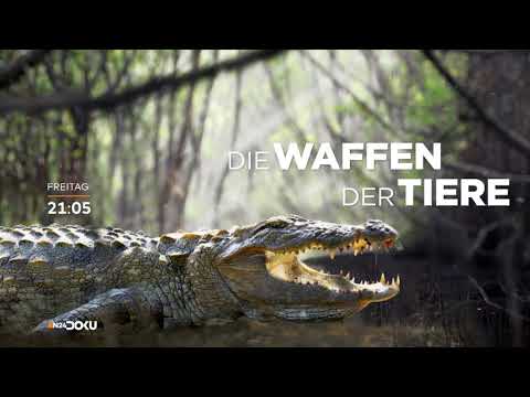 DIE WAFFEN DER TIERE - Die neue Dokureihe!