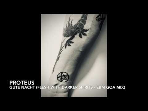 Proteus - Gute Nacht (Flesh With Darker Spirits - EBM Goa Mix)
