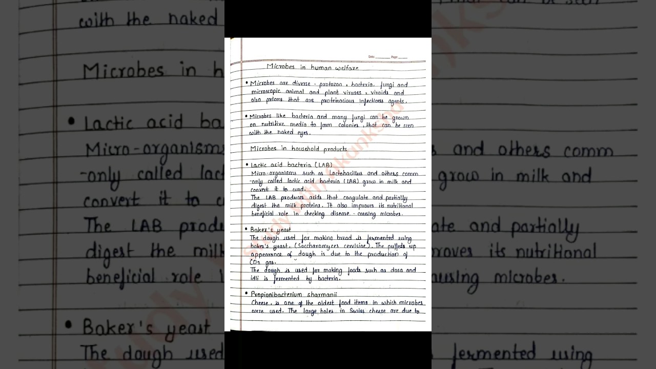 Class 12 Biology | Microbes in human welfare handwritten notes | CBSE | JEE | NEET | NCERT | BSEB