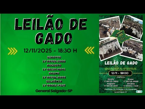 LEILÃO DE GADO  -  SIROTTO LEILÕES - GENERAL SALGADO - SP  - 12/11/2025