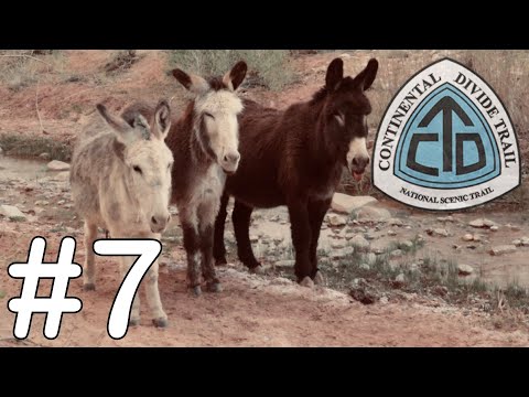 CDT 2021: EPISODE #7 Cuba to Ghost Ranch