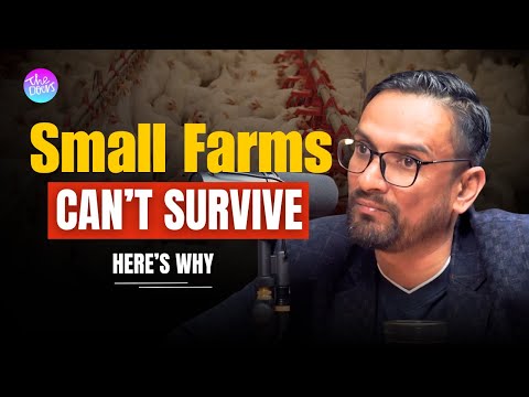 I have 2.5 Lakh Chickens! | Ashesh Bhattarai’s Poultry Revolution | Ep 246 Bhattarai’s Poultry Revolution | Ep 246