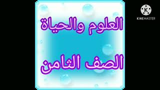طاقة الحركة