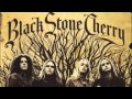 Black Stone Cherry - Drive (Audio) 