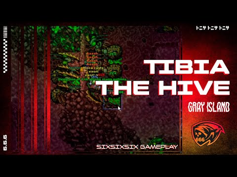 TIBIA - The Hive - Gray Island - Knight Level 170+ - Doube Xp - Full Profit !