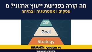 אימון עיסקי | ניר מקובסקי | ייעוץ ארגוני | דוגמה לייעוץ ארגו