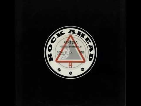 F**king hostile (album version (explicit))