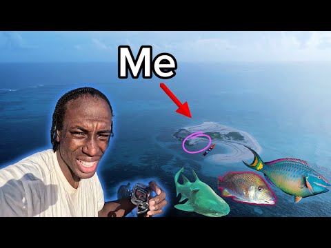 4 DAYS Cooking Fishing & CAMPING 72 miles Living From The Ocean eating, only what we catch 🇯🇲