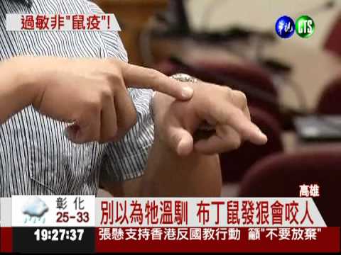 被布丁鼠咬傷 男子休克險沒命!