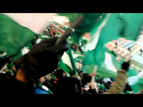 Lechia biało zieloni !  Zagłębie Lubin - Lechia Gdańsk 2010-11-28