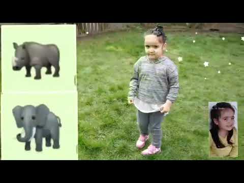 Nashorn,Elefant und Krokodil 🦏🐘🐊