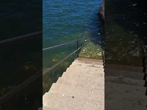 Dique Florentino Ameghino #patagonia #argentina  #travel