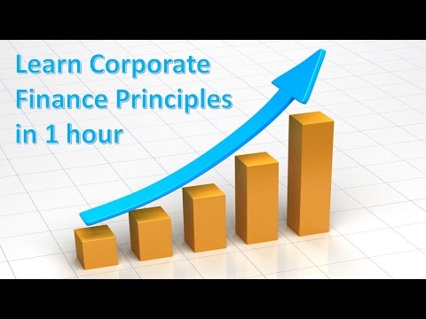Learn Corporate Finance Principles in 1 Hour | Financial Analysis, PV, FV & Risk