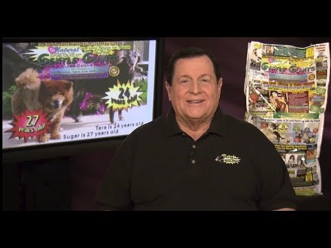 download lagu mp3 mp4 Gentle Giants Dog Food Feeding Guide, download lagu Gentle Giants Dog Food Feeding Guide gratis, unduh video klip Gentle Giants Dog Food Feeding Guide