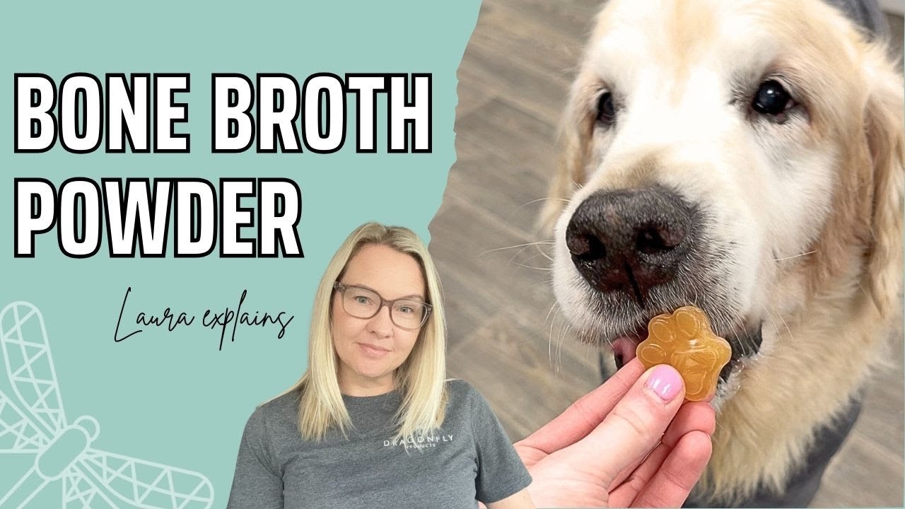 Bone Broth Powder for Dogs | Video