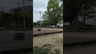 補助金と氷河期世代 #n国 #氷河期世代 #高市政権 #立花孝志