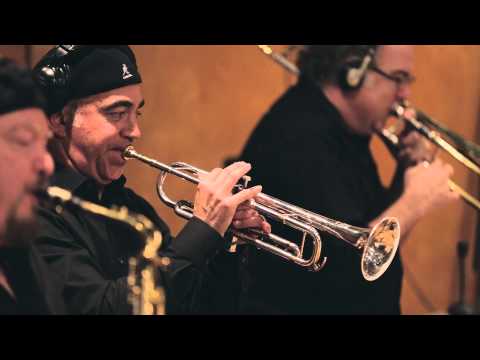 Sasha's Bloc - Black and Blue