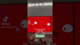 Download lagu YouTube Kids - No Internet Connection in Shorts mp3