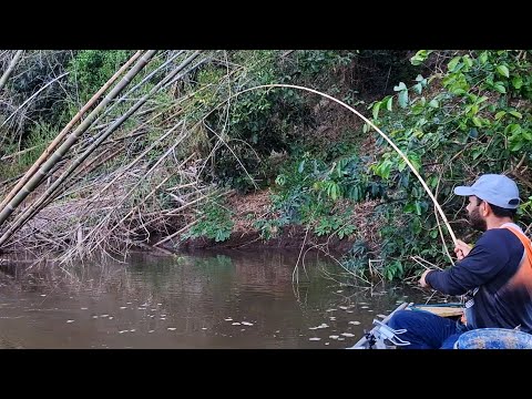 PIAUÇU , PACU , PIRAPUTANGA , TIMBORÉ E PEIXE FRITO NA BEIRA DO RIO MIRANDA MS/PESCARIA DE BARRANCO.