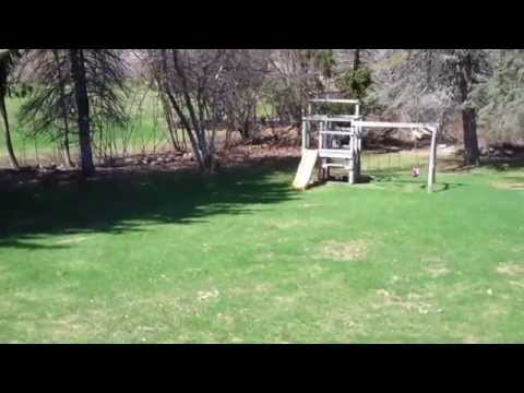 32 Meadowbrook Rd, Westwood, MA - Back Yard