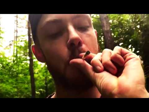 JAYKO x KAZAVHASHI - LIFESTYLE (OFF. VIDEO)