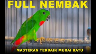 Download lagu Burung Serindit Full Nembak Pancingan Emosi #serindit #birds #masteranburung #pancinganmuraibatu mp3