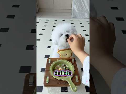 ELE FEZ DE TUDO PARA PASSEAR! 🐶❤️