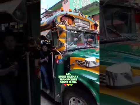 somos Buses Selena y transportes Santa Elena de el Tumbador San Marcos para toda Guatemala ❤️💛💚