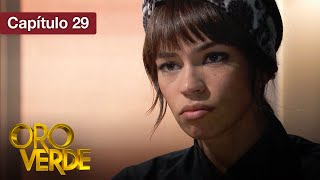 Oro Verde - EP29 - ¿Amor o venganza? - Serie completa en español - HD