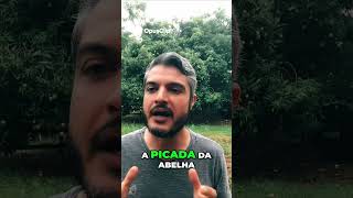 Cachorro com Alergia  A Verdade Chocante Revelada!