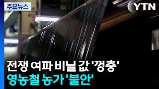 전쟁 여파 비닐 값 '껑충'...영농철 농가 '불안' / YTN