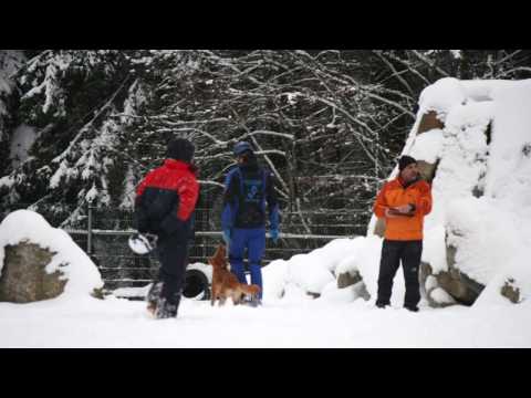 RHP beim SVÖ Rohrbach-Berg in Oberösterreich 2016