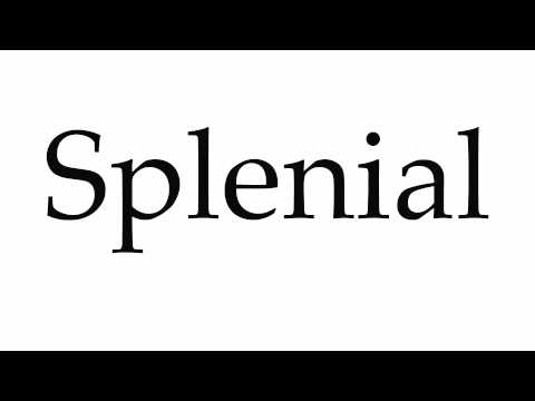 How to Pronounce Splenial