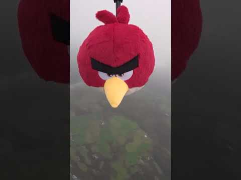 Red’s journey to Space wouldn’t have been possible without you! ❤️