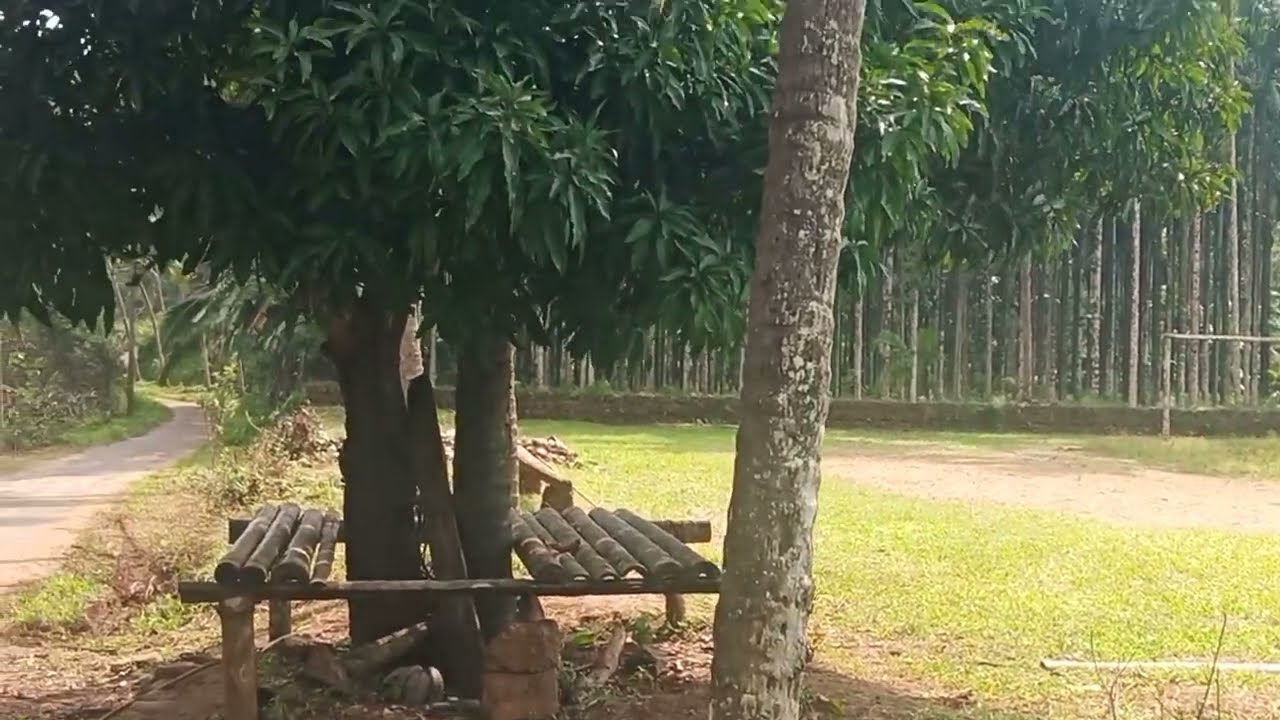 കാസറഗോഡ് കൃഷിയിടം agricultural property Himalayas 