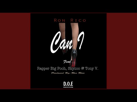 Can I (feat. Rapper Big Pooh, Skyzoo & Tony V.)