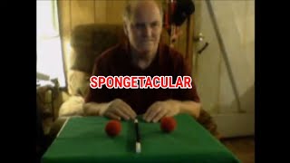 Spongetacular