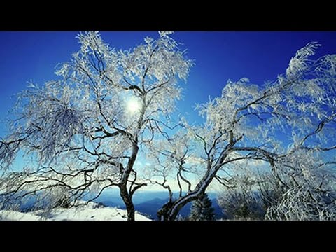 Sulla dorsale del Colovrat - SentieriNatura 2016 - 03