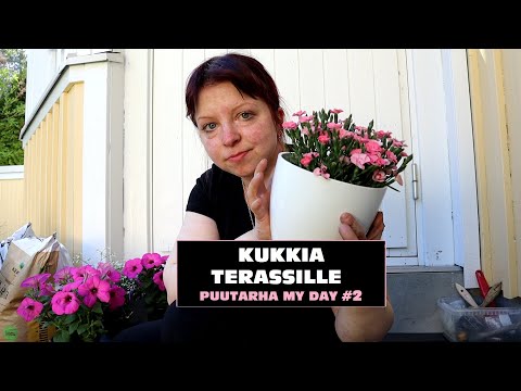 , title : 'My Day 20 - Kukkia terassille 🏡 Puutarha my day #2'