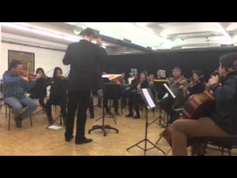 Aes choir n strings Salzburg camerata