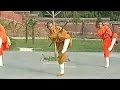 Shaolin Kung Fu: mad-demon staff