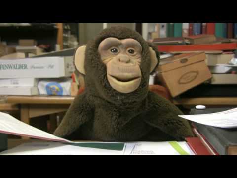 Alejandro Fuentes Bergström om Kronofogdemyndigheten