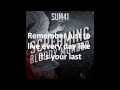 Sum 41 - Crash With Lyrics 